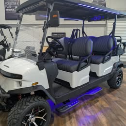 2026 Denago EV Rover XL